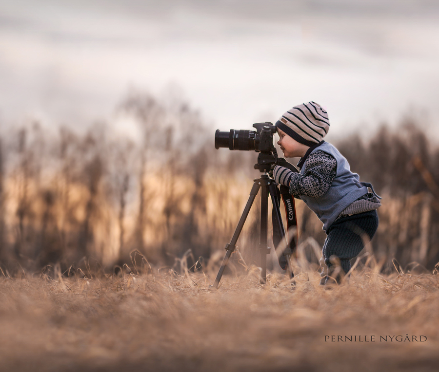 2015best_family _004